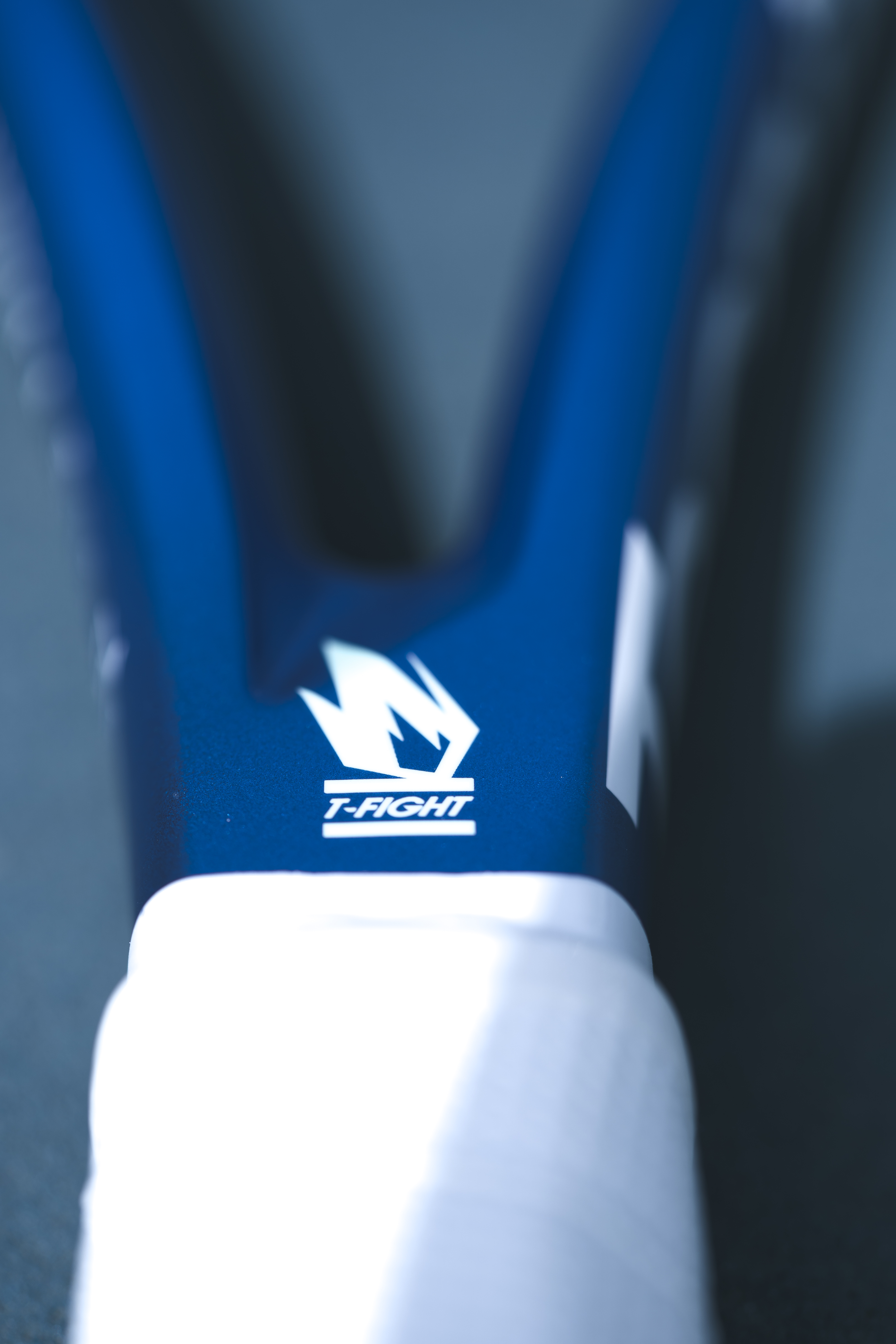 14FI305ID_33_SindyThomas